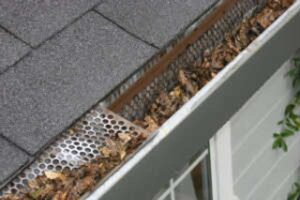 Cleaning-Gutters
