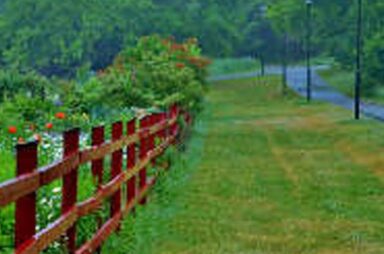 Choosing The Right Fencing For Your Yard